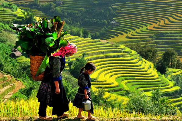 Best of the North Vietnam - 7 Days