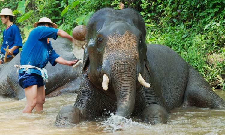 Laos Classic and Beyond